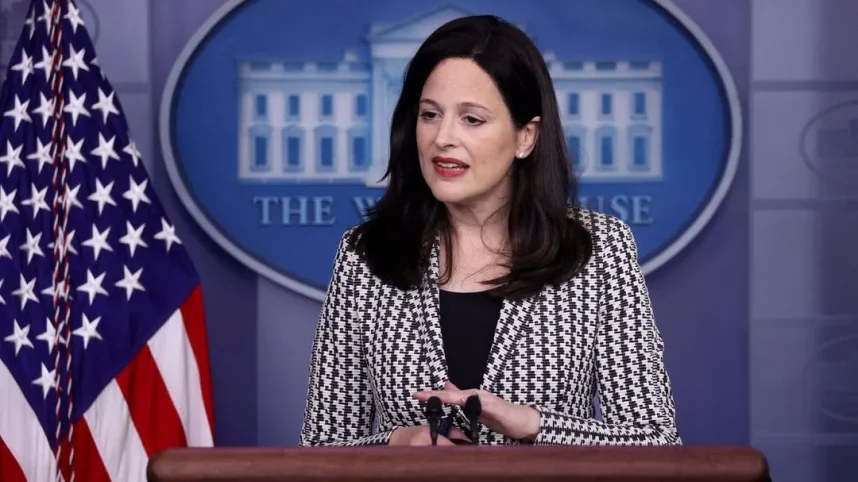 White House Deputy National Security Advisor for Cyber and Emerging Technology Anne Neuberger in a press briefing at the White House